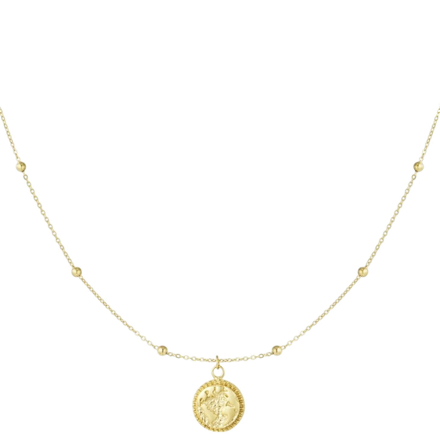 Coin Treasure Ketting