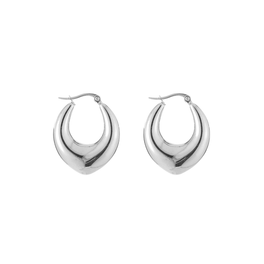 Statement oorbellen met ronde curvevorm van stainless steel