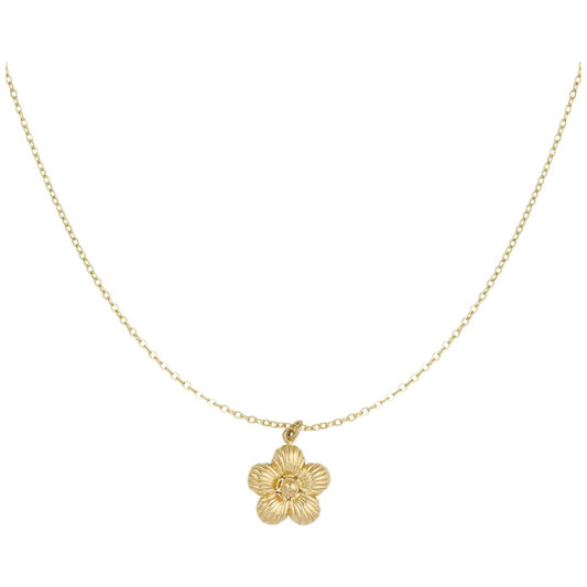 Ketting met bloemenhanger van stainless steel