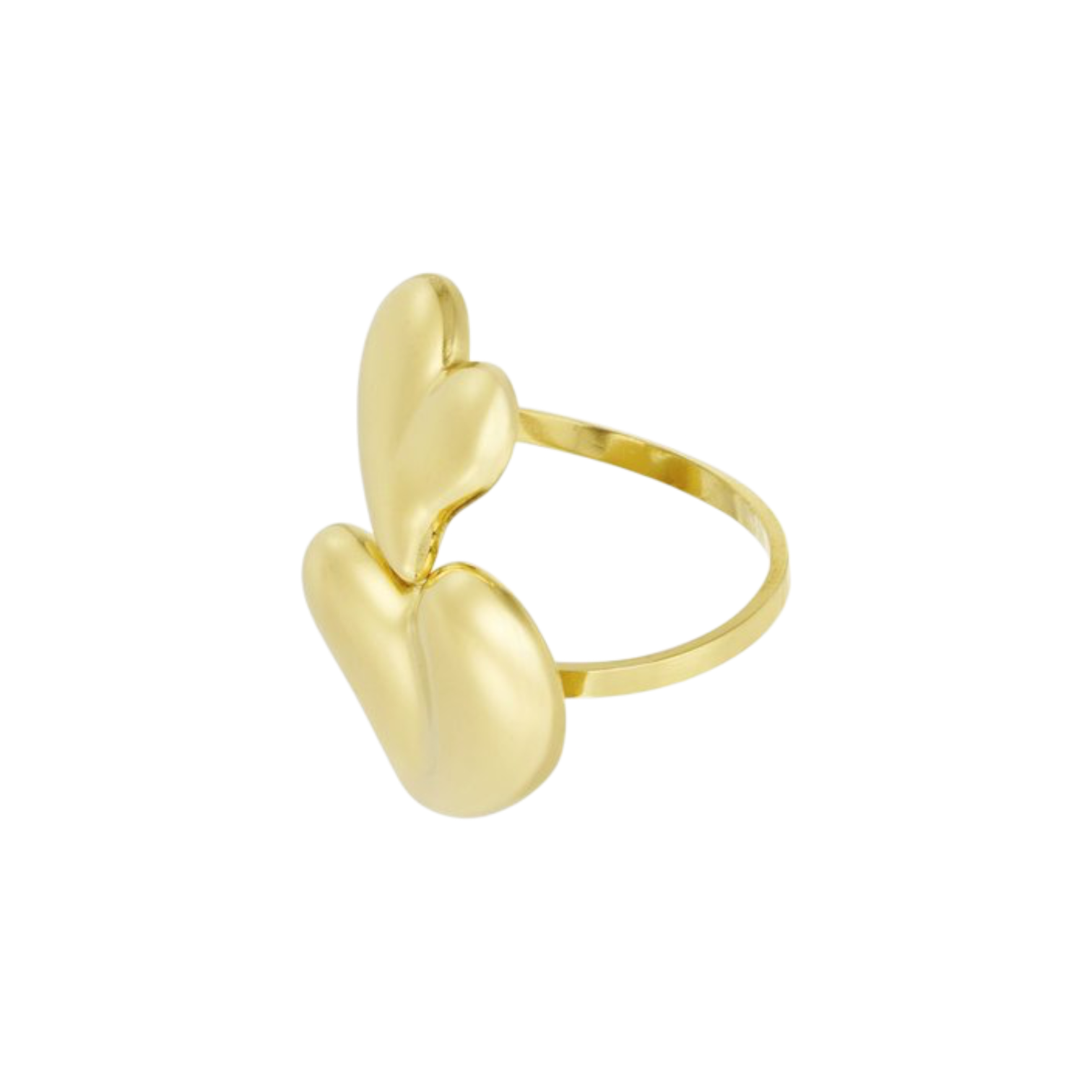 Ring met dubbele hartvorm van stainless steel