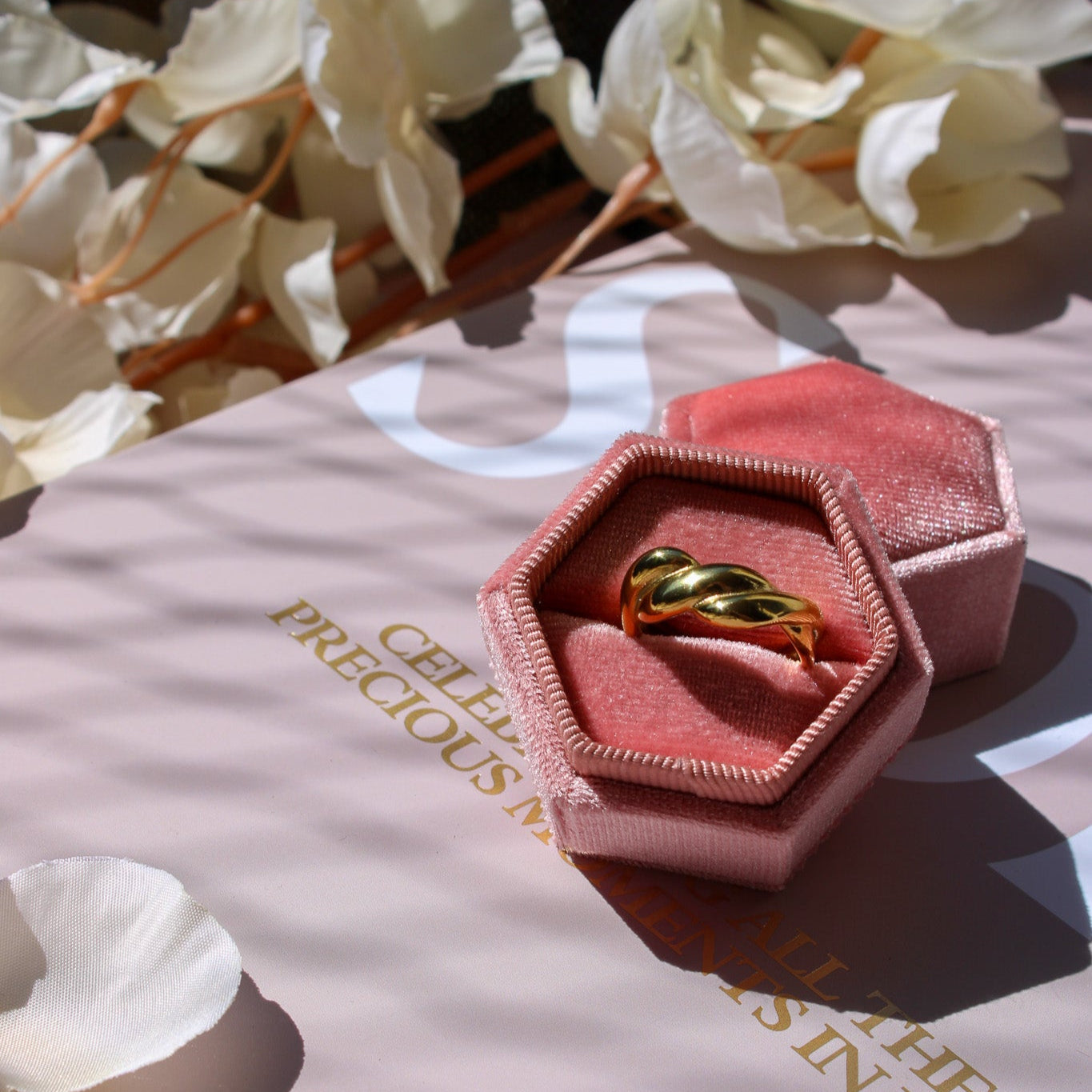 Verstelbare ring met gedraaid ontwerp van stainless steel