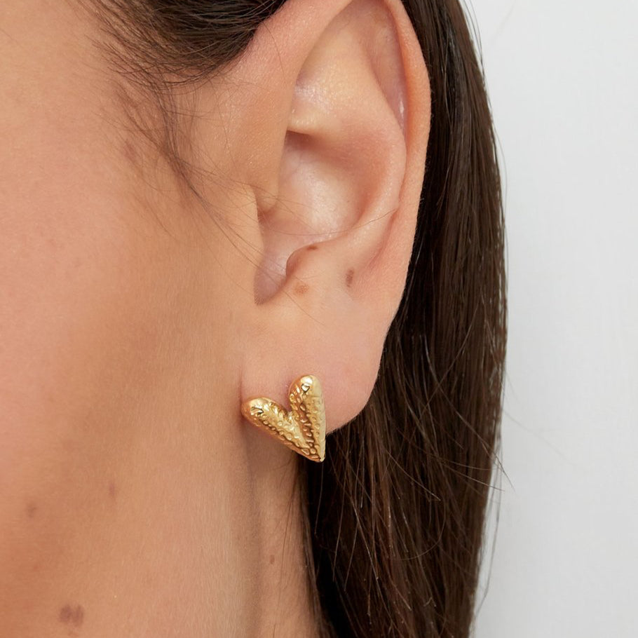 Kleine hartvormige oorstekers van stainless steel