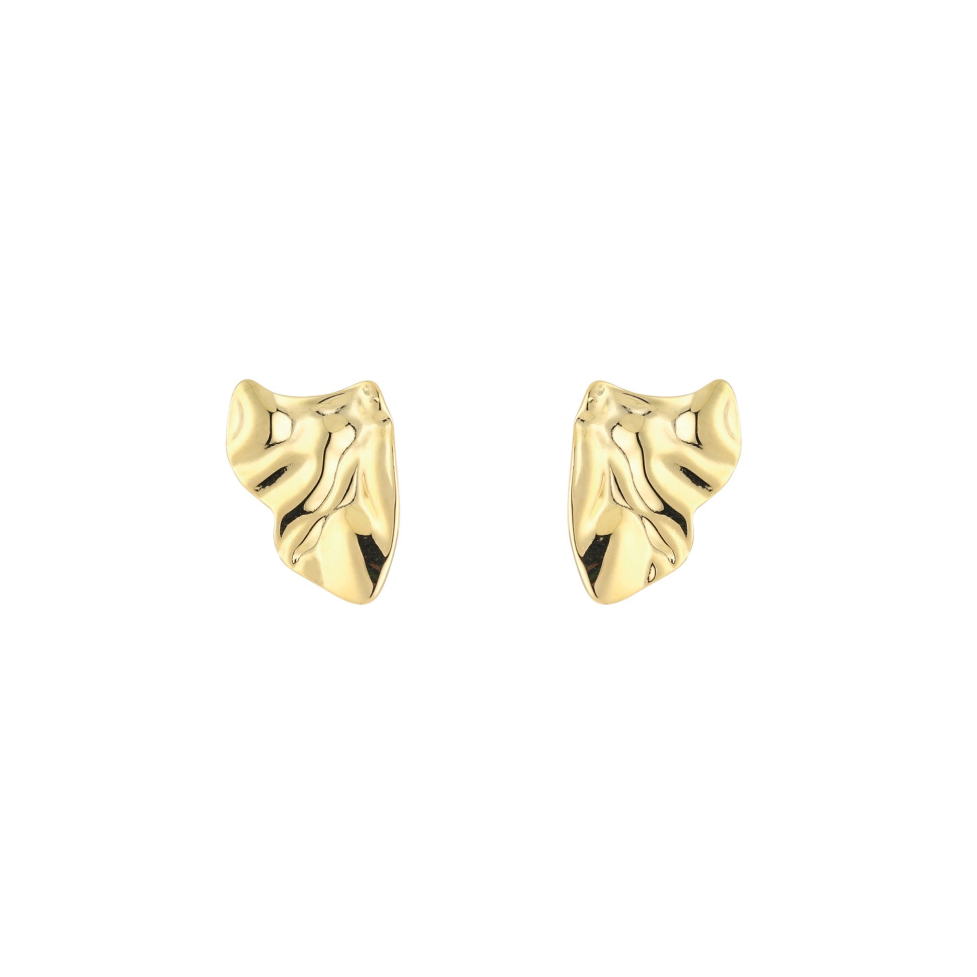 Stainless steel oorstekers met onregelmatig organisch design