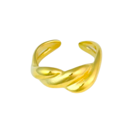 Verstelbare ring met gedraaid ontwerp van stainless steel