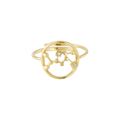 Zodiac Sign Ring