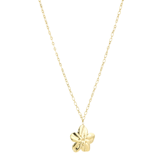 Lange ketting met bloemvormige hanger van stainless steel