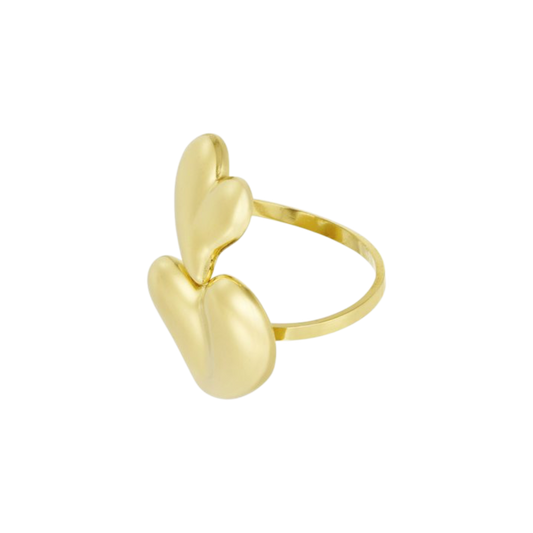 Ring met dubbele hartvorm van stainless steel