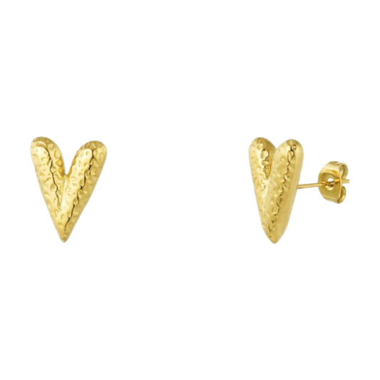 Kleine hartvormige oorstekers van stainless steel