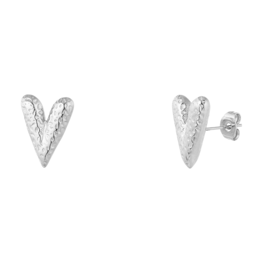 Kleine hartvormige oorstekers van stainless steel