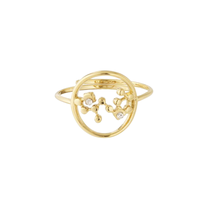 Zodiac Sign Ring