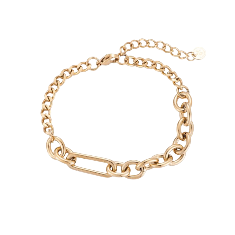 Mixed Link Armband